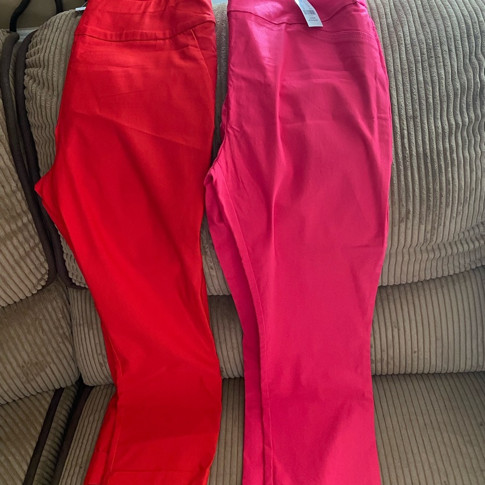 New York & Company Fuchsia Pants